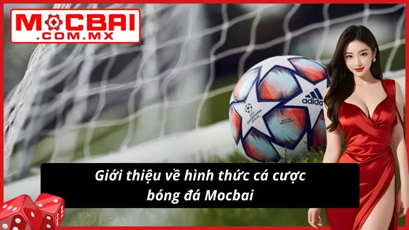 Giới thiệu về hình thức cá cược bóng đá tại website