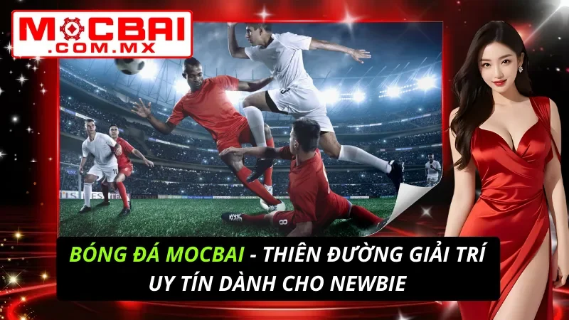Bóng Đá Mocbai - Thiên Đường Giải Trí Uy Tín Dành Cho Newbie 4 Bóng Đá