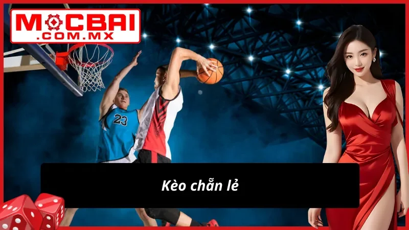 Kèo cá độ bóng rổ chẵn lẻ cực đỉnh