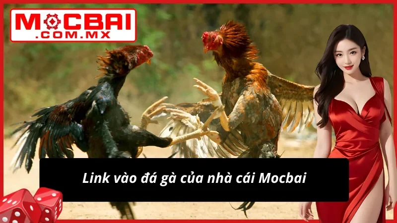 Đá Gà Mocbai – Địa Chỉ Cá Cược Và Xem Live Đá Gà Đẳng Cấp 6 Link xịn sò tham gia Đá Gà dễ dàng và an toàn