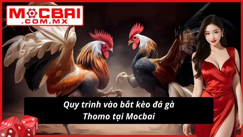 Hướng dẫn tân thủ Đá Gà Thomo thắng lớn