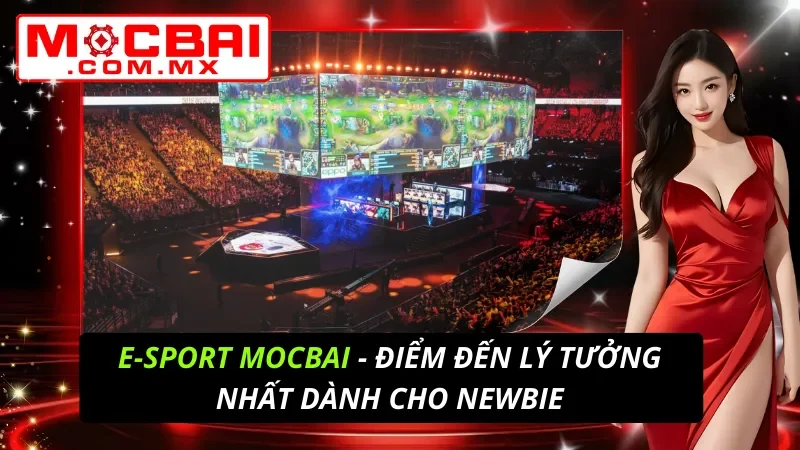 Cá Cược E-Sport - Điểm Đến Lý Tưởng Nhất Dành Cho Newbie Tại Mocbai 1 E-Sport