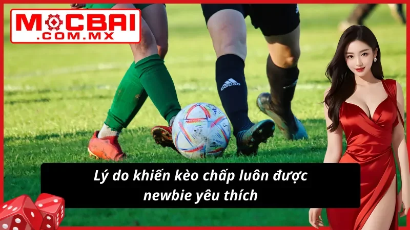 Kèo Châu Á - Kèo Cược Bóng Đá Hot Nhất Mocbai Hiện Nay 3 Lý do khiến kèo châu Á luôn được newbie yêu thích