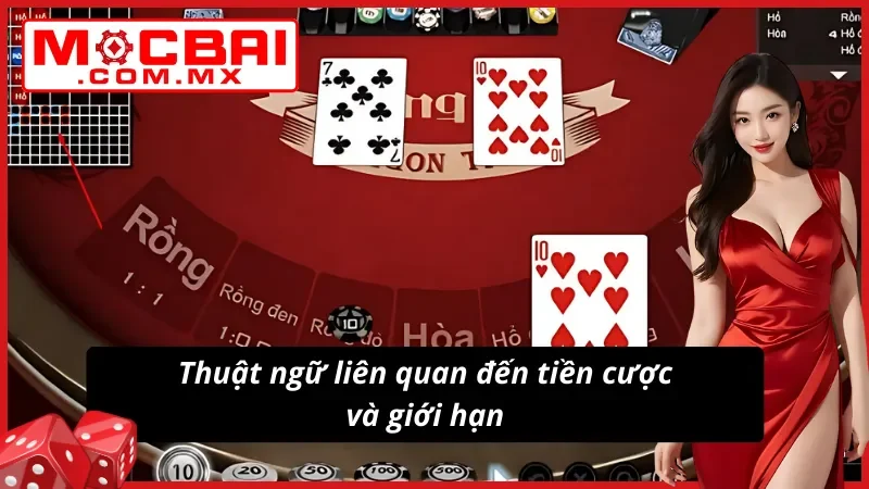 Thuật ngữ Rồng Hổ phong phú vẫn mang tính đơn giản 